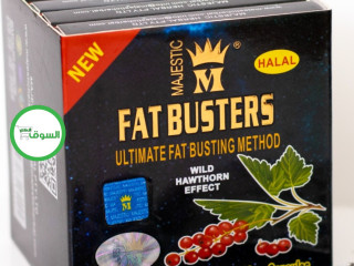 fat-bastrz-fat-busters