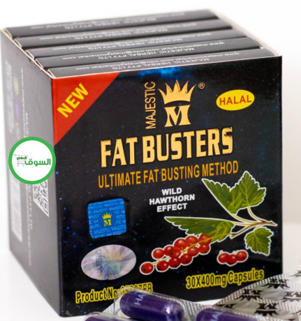 fat-bastrz-fat-busters-big-0