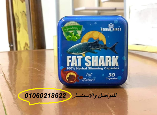 kbsolat-fat-shark-lnht-alkoam-big-3