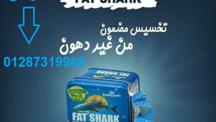 kbsolat-fat-shark-almntg-alasly-lltkhsys-big-2