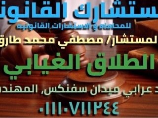 محامي متخصص في الاحوال الشخصية في مصر